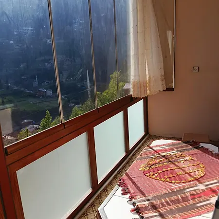 Aydin 公寓 乌宗